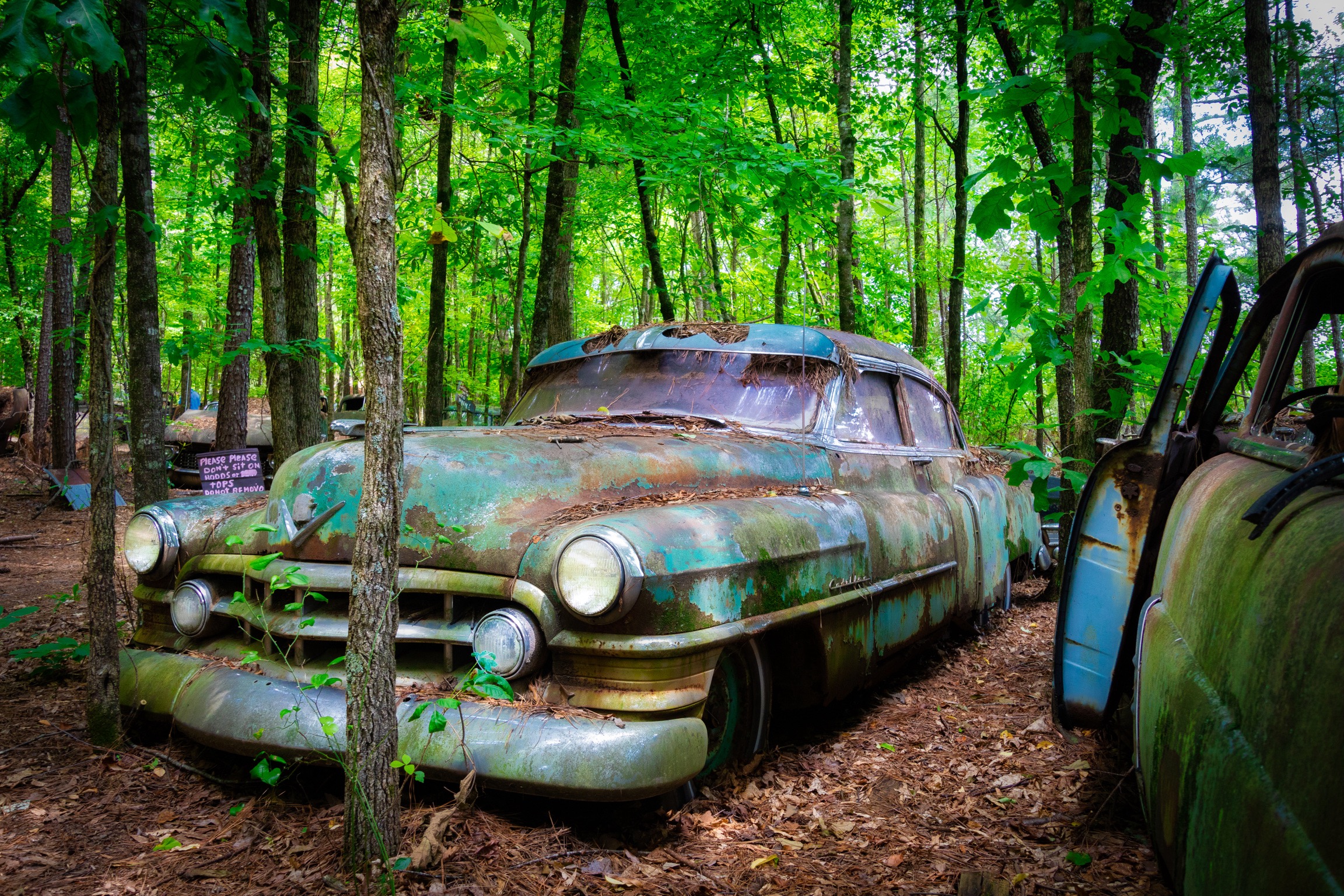 Antique Car Museum, GA. Antique Car Museum, GA.