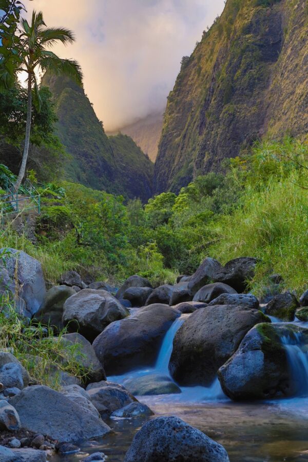 Welcome to paradise,Aloha to Hawaii