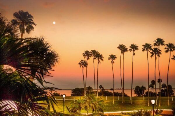 Golden Hour near Tampa beach Florida.