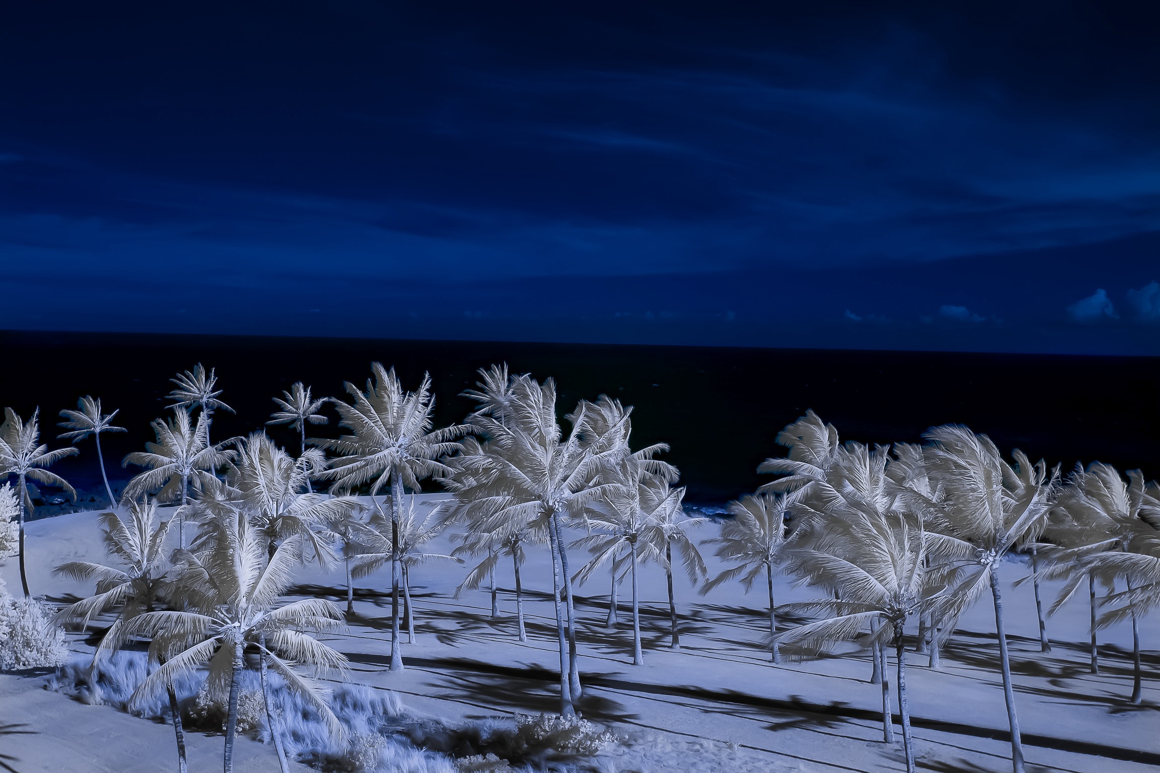 Infrared photography of Hawaii.Photography is the story I failed to put into words. Infrared photography of Hawaii.Photography is the story I failed to put into words.